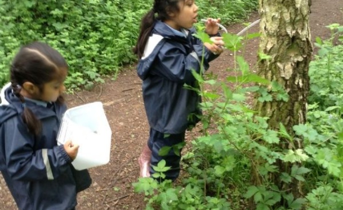 Latest News » EYFS Trip to Brocks Hill 16.5.18
